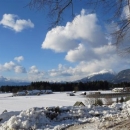 IMG_4472 (Small).JPG