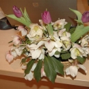 DSC_1618 (Small).JPG