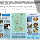 Posnetek-zaslona-2024-11-21-183004