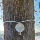 tablica-na-taborski-lipi